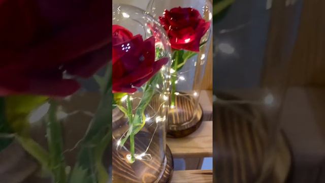 Роза в колбе с подсветкой смотреть онлайн
