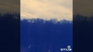 #тыскажи#пресняков#смуле  Ты скажи, ты скажи♥️