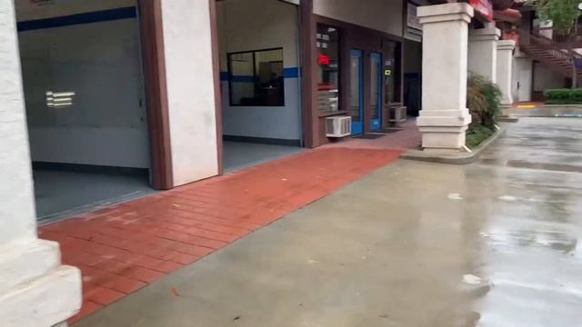 2000 Horsepower at SD Auto Salon - Mercedes AMG GT Edition 50 GTC, TWIN TURBO MUSTANG, more