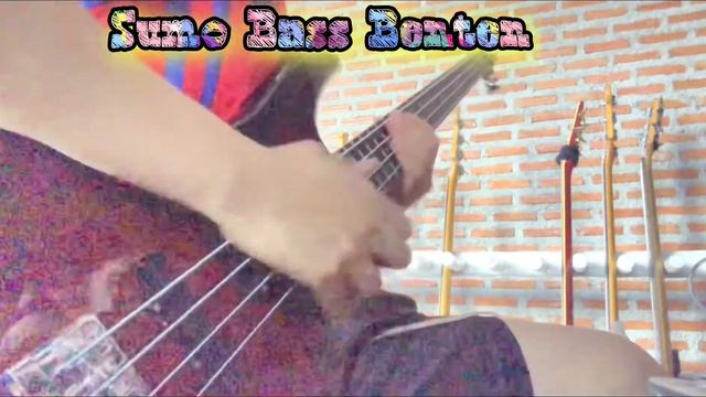 Ibanez - SR300FM - Dark Violin Sunburst смотреть онлайн