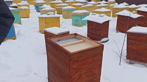 Войлочный утеплитель для ульев. Чем утеплять улья?