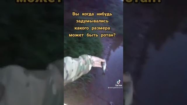 ШОК !!! ВОТ ЭТО РОТАН смотреть онлайн