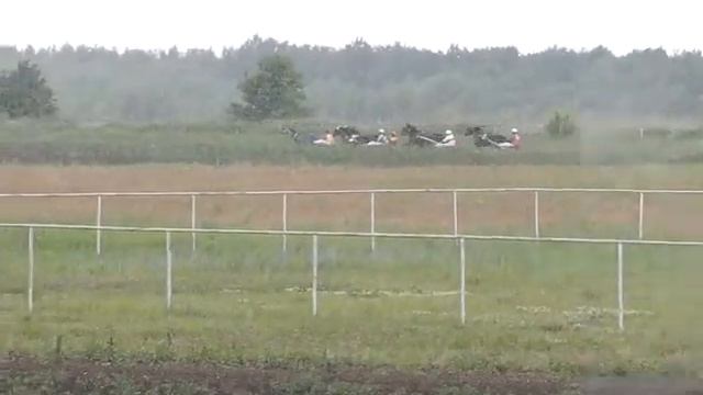 Приз Гладкой, 18 июня 2017, Воронежский ипподром смотреть онлайн