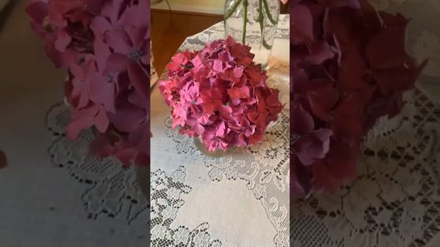 Hydrangea Happy Hour Virtual Flower Show смотреть онлайн