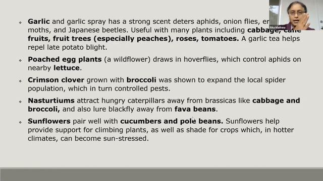 Herb Gardening with an Athens Area Master Gardener смотреть онлайн