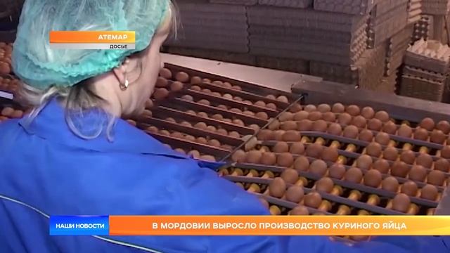 В Мордовии выросло производство куриного яйца смотреть онлайн
