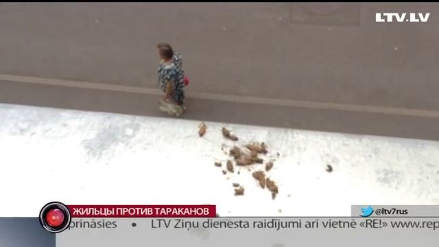 Жильцы против тараканов смотреть онлайн