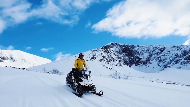 Mysterious Petrelius смотреть онлайн