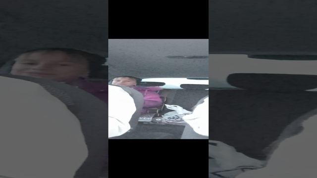 VID_20191208_140033 смотреть онлайн