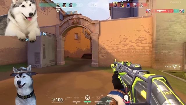 #1 Cypher in Valorant смотреть онлайн