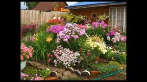 Красивые клумбы своими руками