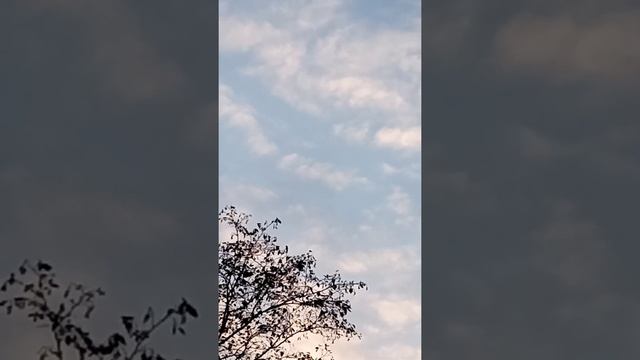 клин лебедей смотреть онлайн