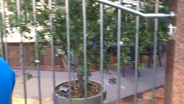 Дорога с моря до дома - Адлер 02.06.2022 смотреть онлайн