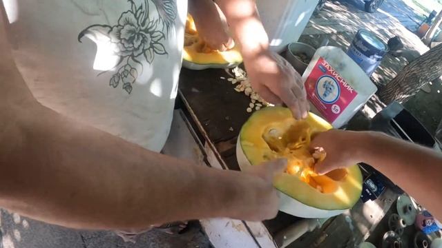Тыквенные семена. Берем пробу. смотреть онлайн
