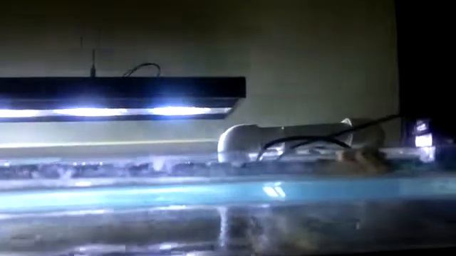 VERTEX Illumina SR 0900 360 LED смотреть онлайн