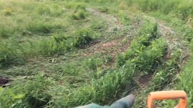 ДЕНЬ ТРАКОВ!!! Ждём хорошей цены на металл!!! смотреть онлайн