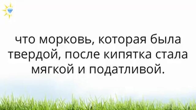 Притча о жизни смотреть онлайн