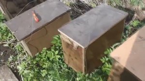 Ловушка для ловли пчелиных роев из ЛДСП