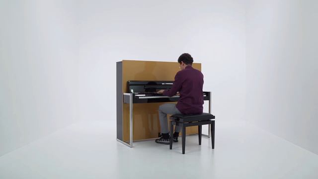 Piano Medley By Thomas Krüger | PETROF COLOURS