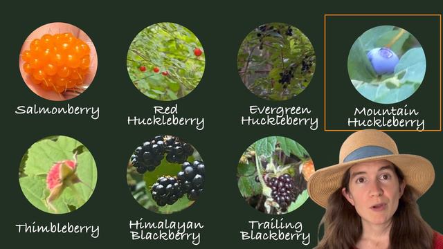 7 Edible Berries of the Pacific Northwest Coast смотреть онлайн