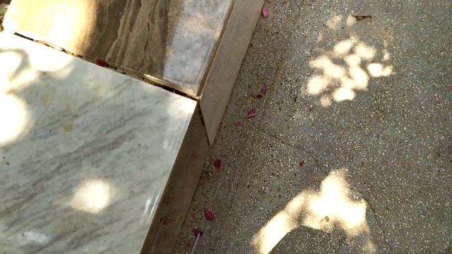 1996 2001 Ford Mondeo yol bilgisayarında fışkıran su işareti var. Ne yapabilirim. смотреть онлайн