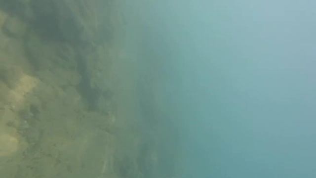 2021-07 Trendy Palm Beach underwater filming смотреть онлайн