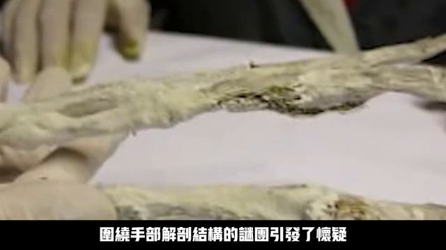 如果不是相機拍攝到你一定不會相信？！10個不可思議的驚奇發現！震碎你的三觀！ смотреть онлайн