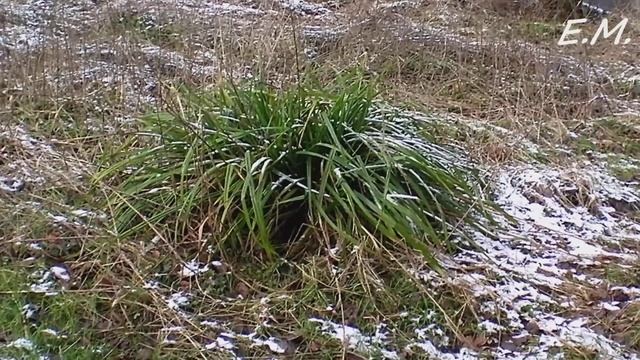 Ennepetal Sauerland und zurück Höllisch gut Camera Test Sanyo xacti VPC-PD1EXBK Full HD 4.2.2018 смотреть онлайн