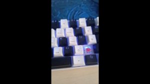 Звук синих и красный свитчей