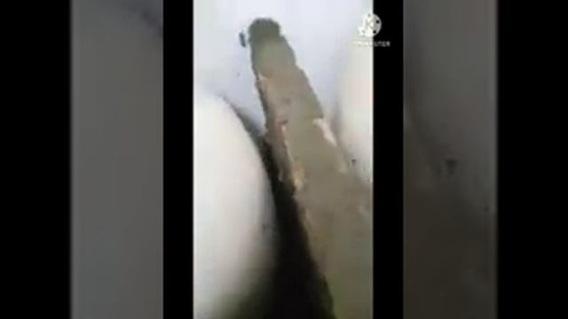 Установка тандыра с газовой горелкой. смотреть онлайн