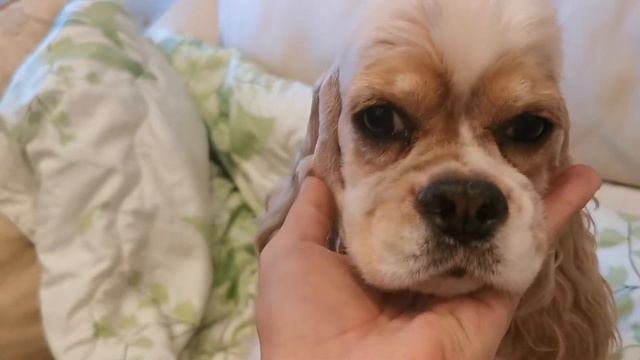 кто нибудь видел милее этой девочки 😁🥰🥰🥰 смотреть онлайн