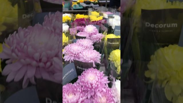 Красоты и радости всем! смотреть онлайн