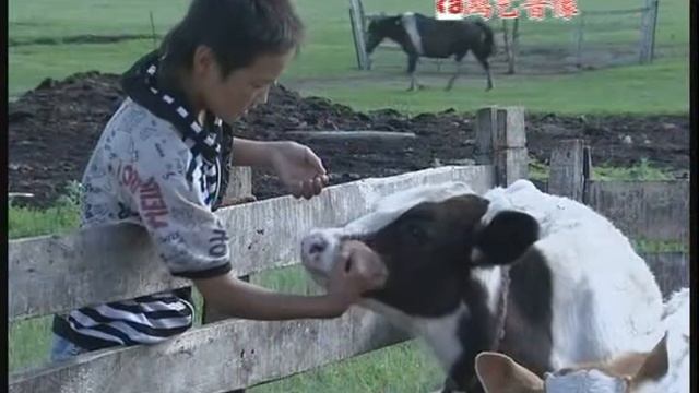 Mother In The Dream - монгольская песня про маму