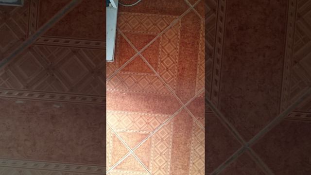 RIX CLAPTON DIRE STRAITS