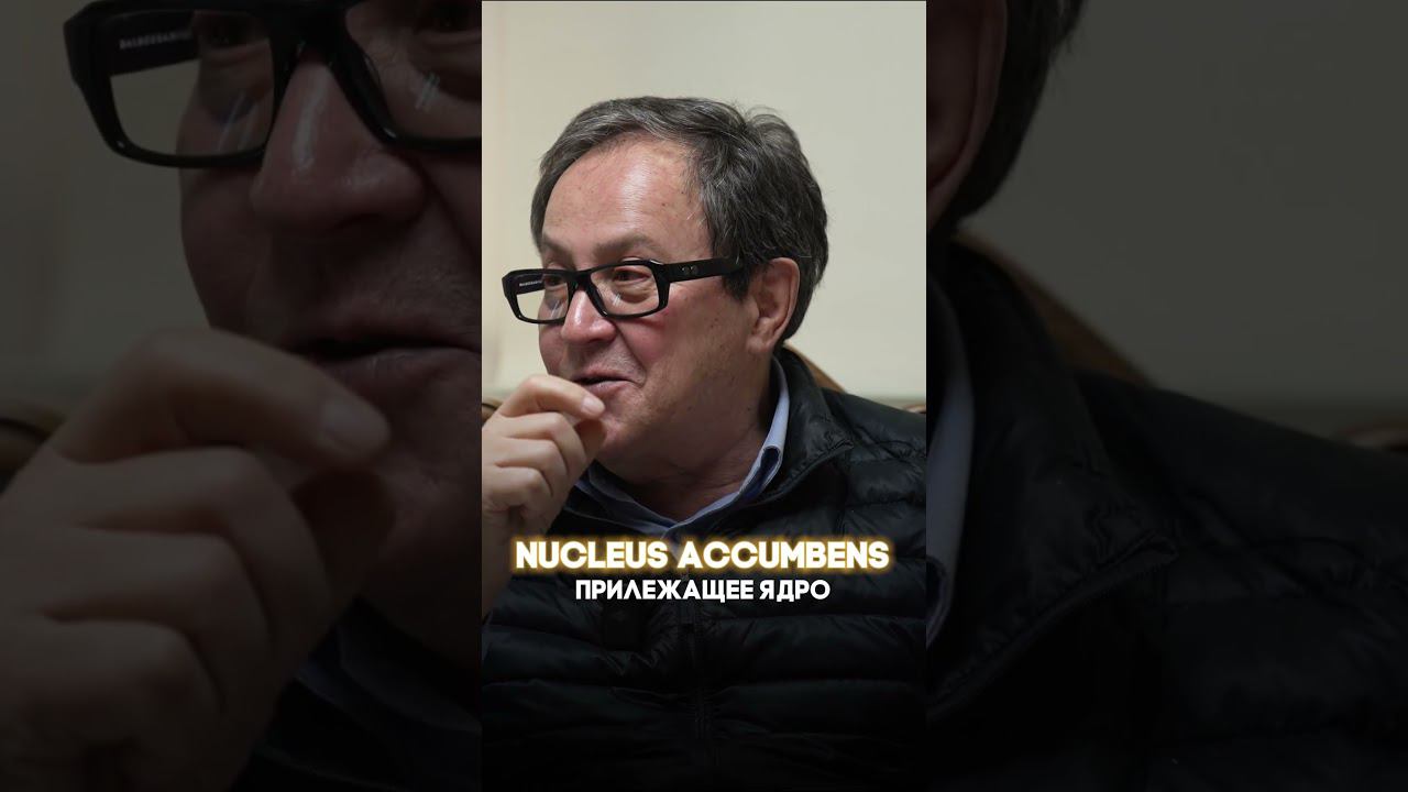 Почему так сложно отказаться от сладкого? #тикток #prana #сладости #сладкоежка #еда #едаялюблютебя смотреть онлайн