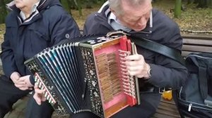 Русская плясовая на гармони Гармонист Виктор Иванович