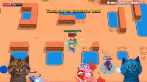 ЧЕЛЛЕНДЖ ЗАНЯТЬ ТОП 1 БЕЗ СУПЕРА БРАВЛ СТАРС ОТ НУБА ДО ПРО КОТИК ИГРОМАН И КОТЁНОК ЛАЙК BRAWL STAR