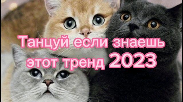 ??Танцуй если знаешь этот тренд 2023 года! НОВЫЕ тренды для Тебя и твоих друзей!!!!?? смотреть онлайн