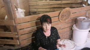 Как выбрать хорошую козу