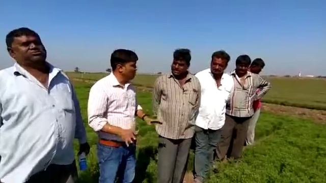 Bayer Movento Energy results in cumin Crop смотреть онлайн