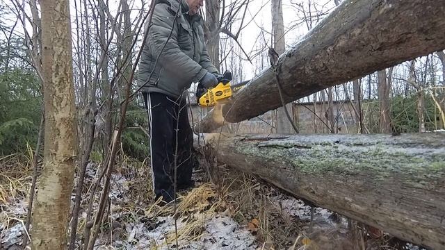 Тест бензопилы, малышка CHAMPION 125T 10. смотреть онлайн