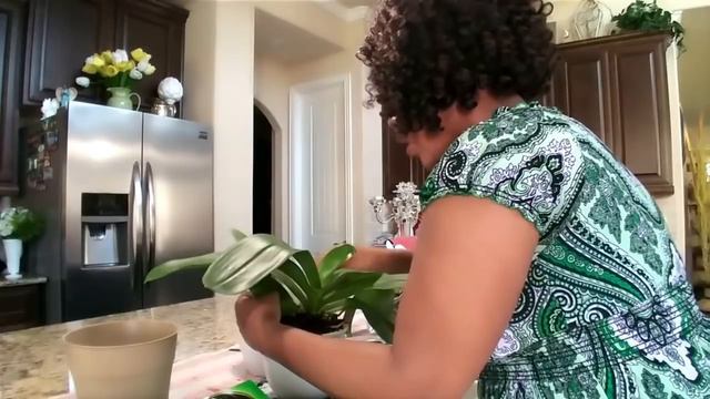 How To Re-pot Orchids | 23 Bees | 3 Tiered Planter смотреть онлайн