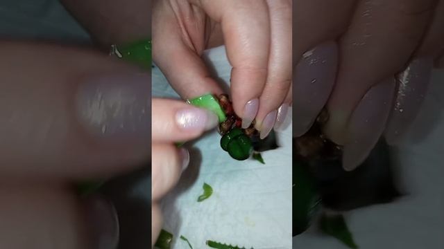 что делать если от орхидеи остался только пенёк без корней и точки роста. Выпустил две детки