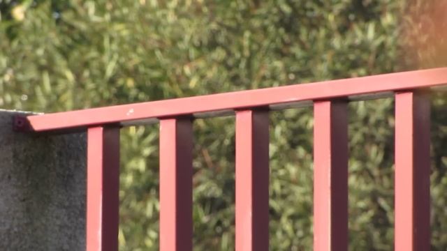 Canon Powershot SX220 HS [Full HD test] смотреть онлайн