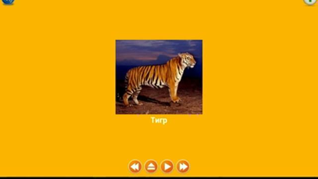 ЯРКИЕ КАРТОЧКИ.ЖИВОТНЫЕ. смотреть онлайн