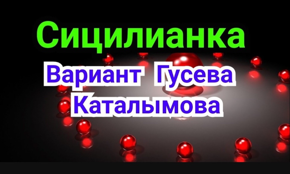 30) Сиц Гусева Каталымова смотреть онлайн