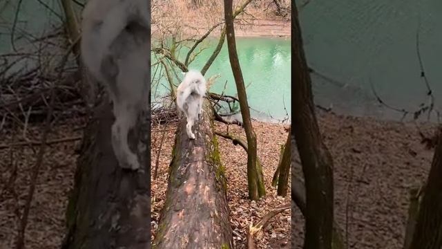 Active trip ? смотреть онлайн