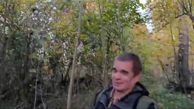 Представители ОС при Рослесхозе провели осмотр территорий Национального парка "Лосиный остров" смотреть онлайн