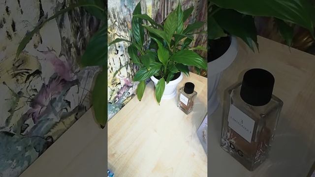 Подарки на 8 марта от мальчиков в школе смотреть онлайн