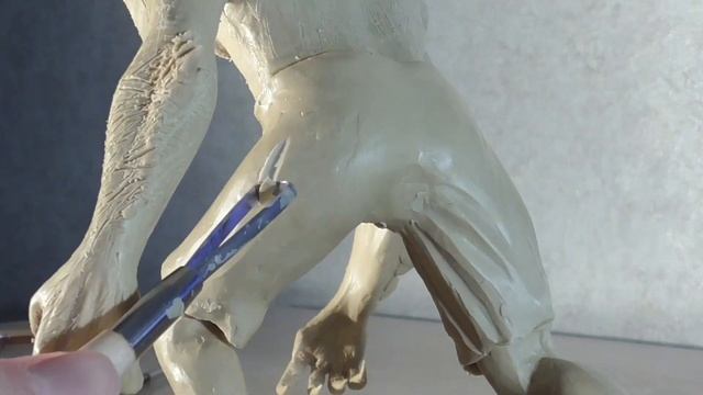 Sculpting Werewolf | The Witcher